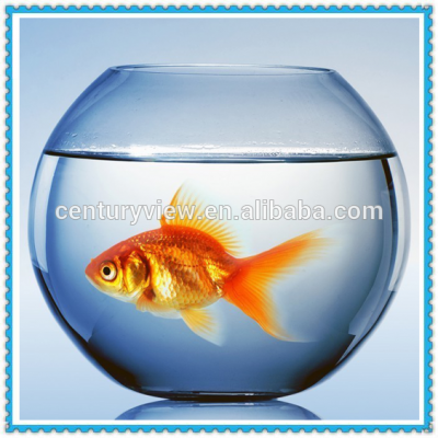 Decorative Ball Shape Fish Bowl Clear Glass Fish Bowl